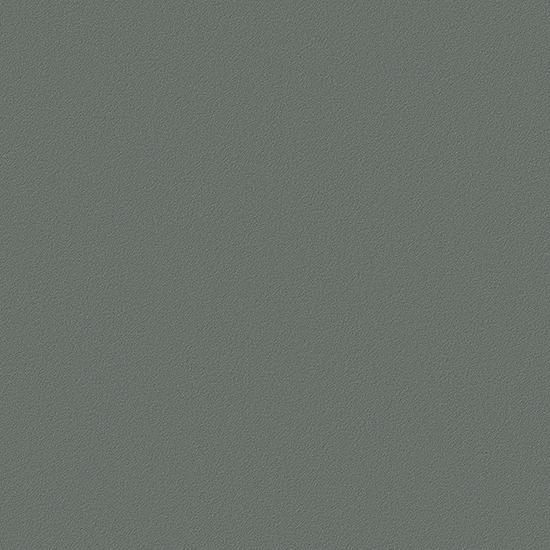 LX 베니프 RS165 견본
