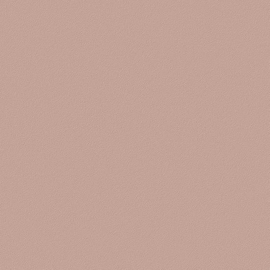 LX 베니프 RS168 견본