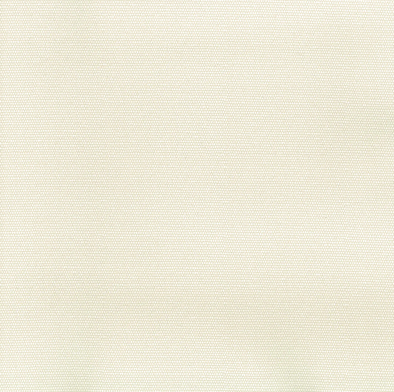 영림 PX444 견본